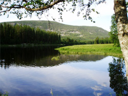 Fäbod