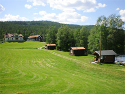 Hus