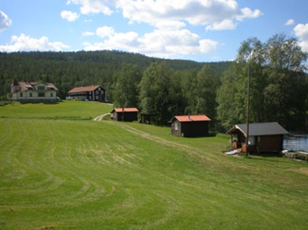 litethus1